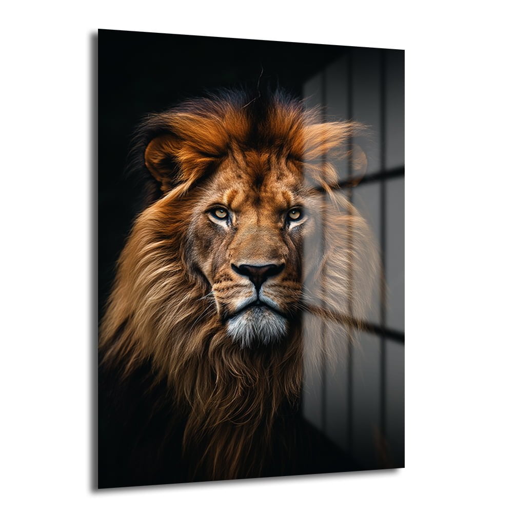 Krallığın İhtişamı: Aslan Portresi Modern Cam Tablo - Glazella Krallığın İhtişamı: Aslan Portresi Modern Cam Tablo - Glazella