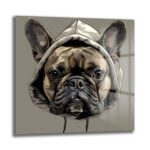 Kapüşonlu Fransız Bulldog: Sokak Stili Modern Cam Tablo Duvar Dekoru cam tablo, duvar sanatı, modern dekorasyon, soyut sanat, cam sanat eserleri, iç mekan dekorasyonu, ofis dekorasyonu, ev dekorasyonu, restoran dekorasyonu, cafe dekorasyonu, cam baskı, UV baskı, estetik duvar sanatı