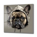 Kapüşonlu Fransız Bulldog: Sokak Stili Modern Cam Tablo Duvar Dekoru cam tablo, duvar sanatı, modern dekorasyon, soyut sanat, cam sanat eserleri, iç mekan dekorasyonu, ofis dekorasyonu, ev dekorasyonu, restoran dekorasyonu, cafe dekorasyonu, cam baskı, UV baskı, estetik duvar sanatı