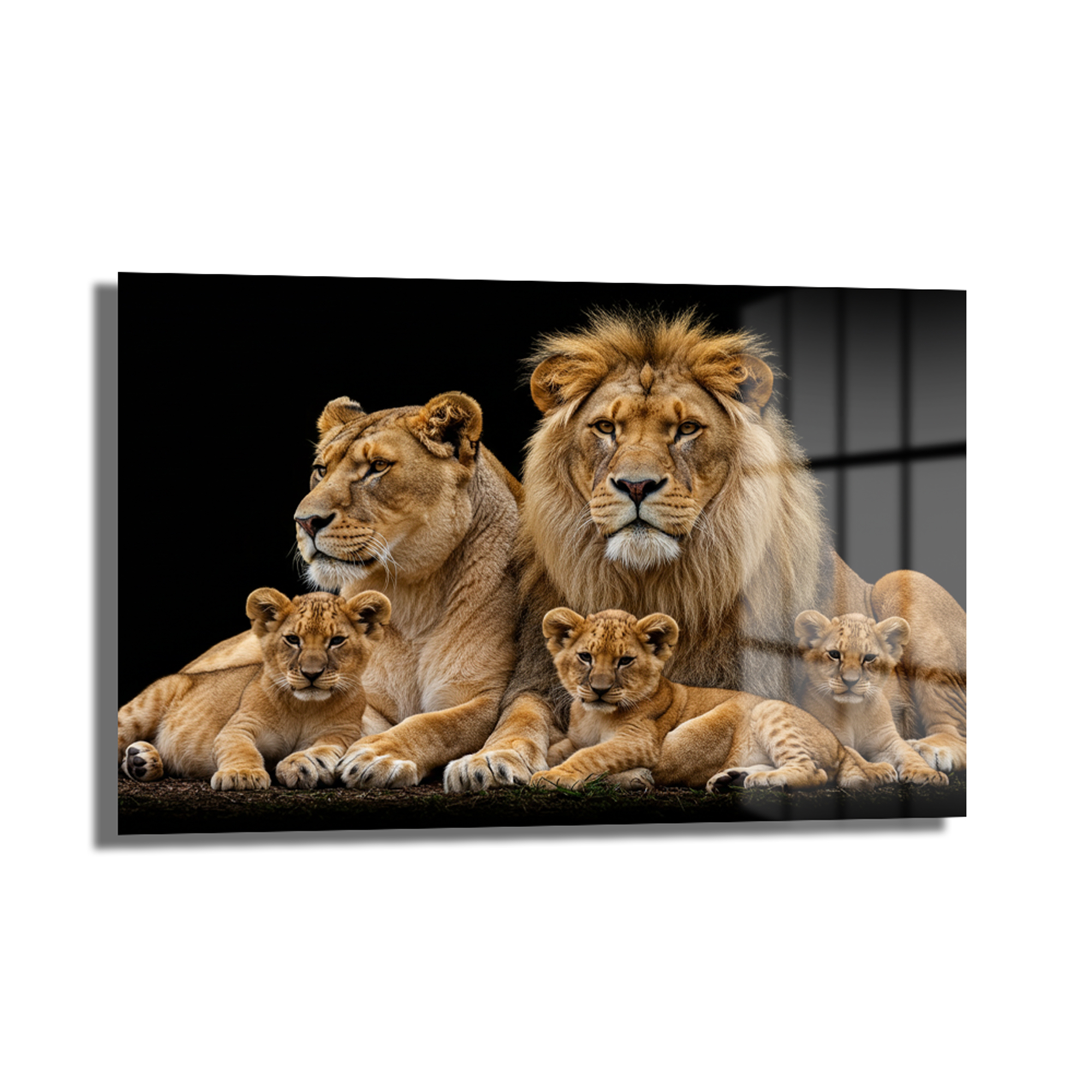 Aslan Ailesi: Güç ve Birliğin Cam Tablosu | Safari Temalı Duvar Sanatı Duvar Dekoru Aslan Ailesi: Güç ve Birliğin Cam Tablosu | Safari Temalı Duvar Sanatı, Afrika savanlarında aslan ailesinin birliğini ve gücünü yansıtan parlak yüzeyli dekoratif cam tablo.