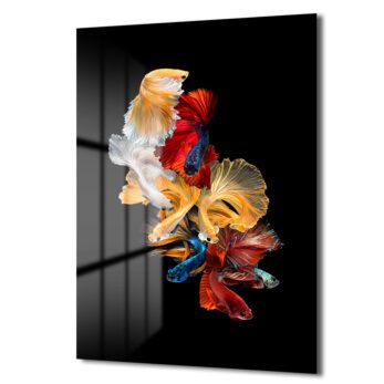 Betta Balıkları Sualtı Dansı Modern Cam Tablo - Glazella Betta Balıkları Sualtı Dansı Modern Cam Tablo - Glazella
