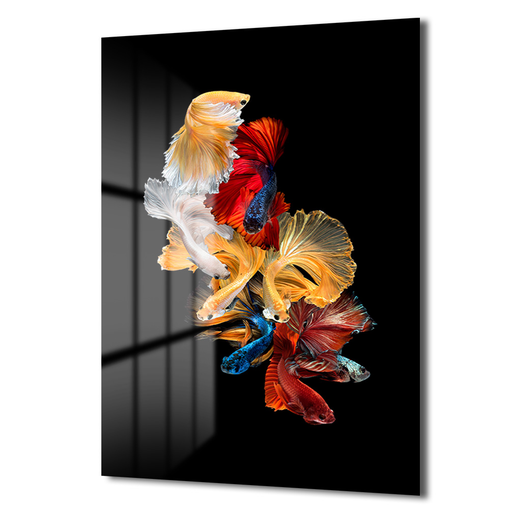 Betta Balıkları Sualtı Dansı Modern Cam Tablo Duvar Dekoru Betta Balıkları Sualtı Dansı Modern Cam Tablo - Görsel 2