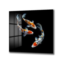 Uyumlu Koi Balıkları Cam Tablo – Feng Shui ve Zarafet Duvar Dekoru Uyumlu Koi Balıkları Cam Tablo – Feng Shui ve Zarafet Dekoratif Cam Tablo