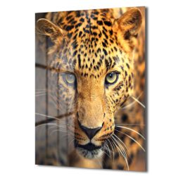 Vahşi Bakışlar Leopar Temalı Dekoratif Cam Tablo Duvar Dekoru Vahşi Bakışlar Leopar Temalı Dekoratif Cam Tablo Dekoratif Cam Tablo