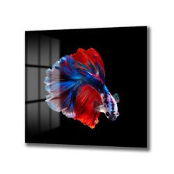 Nefes Kesen Betta Balığı Cam Tablo - Canlı Renklerin Dansı Duvar Dekoru Nefes Kesen Betta Balığı Cam Tablo - Canlı Renklerin Dansı Dekoratif Cam Tablo