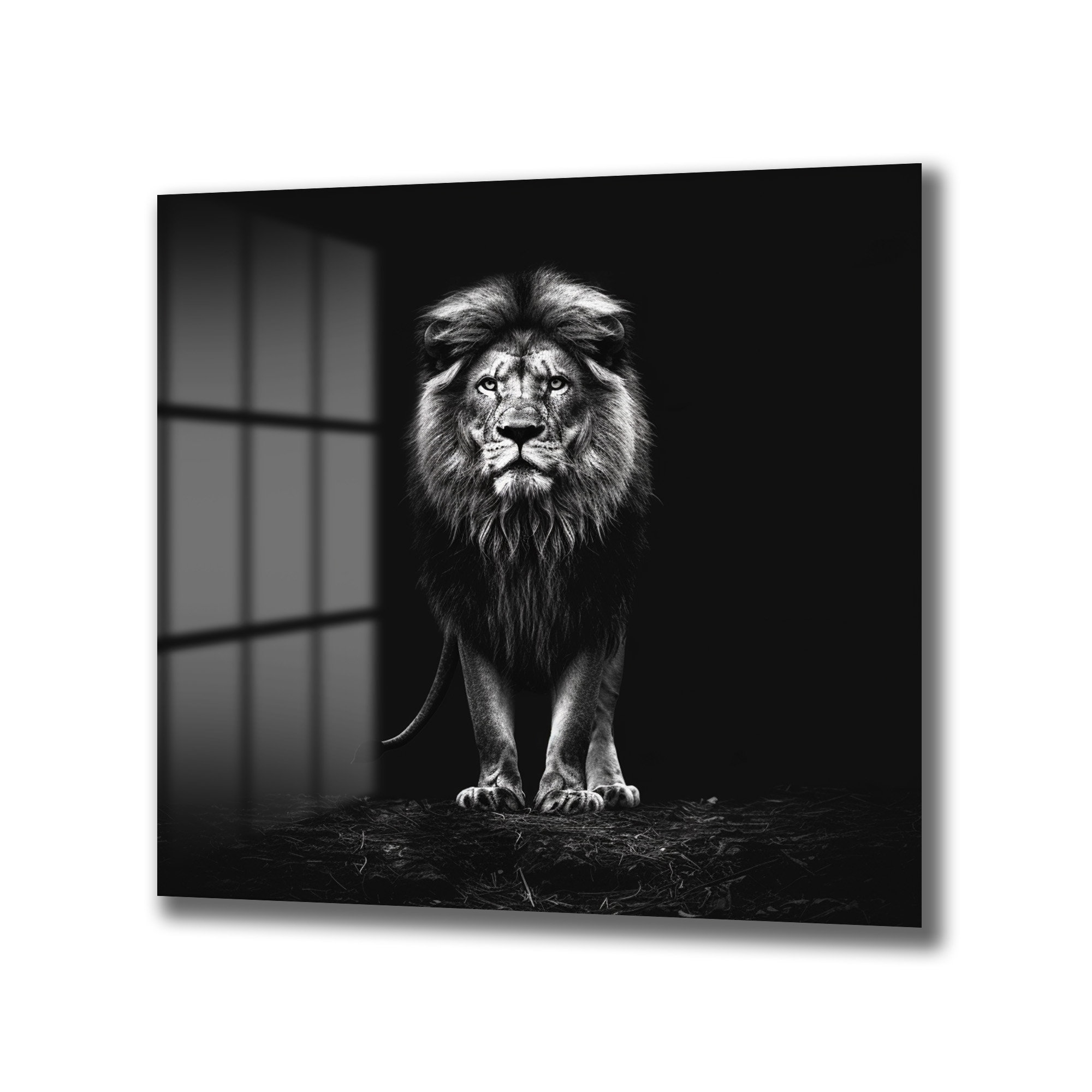 Görkemli Aslan Siyah Beyaz Cam Tablo - Glazella Görkemli Aslan Siyah Beyaz Cam Tablo - Glazella