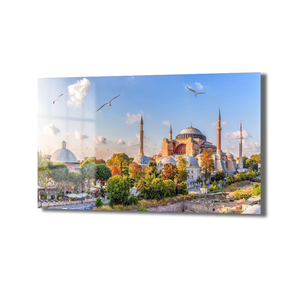 İstanbul'un Kalbi: Ayasofya ve Martılar Temalı Dekoratif Cam Tablo Duvar Dekoru İstanbul'un Kalbi: Ayasofya ve Martılar Temalı Dekoratif Cam Tablo - Görsel 6