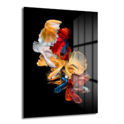 Dans Eden Renkler: Modern Betta Balıkları Temalı Temperli Cam Tablo - Glazella Dans Eden Renkler: Modern Betta Balıkları Temalı Temperli Cam Tablo - Glazella