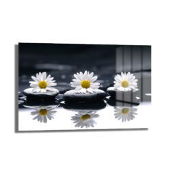 Zen Papatyalar ve Siyah Taşlar: Huzur Veren Modern Cam Tablo - Glazella Zen Papatyalar ve Siyah Taşlar: Huzur Veren Modern Cam Tablo - Glazella
