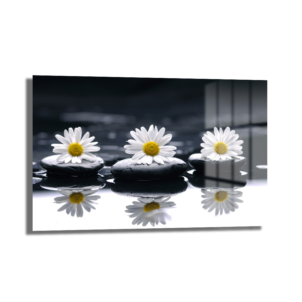 Zen Papatyalar ve Siyah Taşlar: Huzur Veren Modern Cam Tablo Duvar Dekoru Zen Papatyalar ve Siyah Taşlar: Huzur Veren Modern Cam Tablo, siyah arka plan üzerinde beyaz papatyalar ve pürüzsüz siyah taşların minimalist ve sakin bir düzenlemesini gösteren dekoratif bir cam tablo.