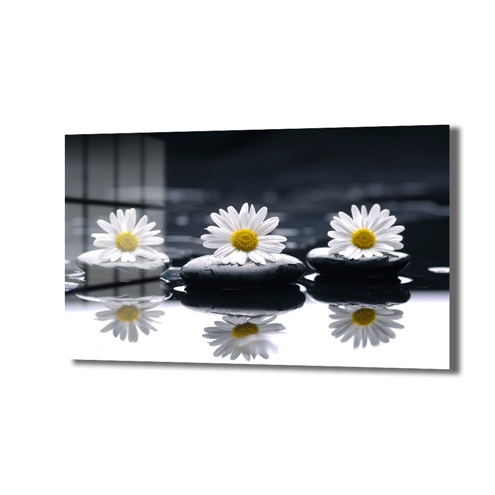 Zen Papatyalar ve Siyah Taşlar: Huzur Veren Modern Cam Tablo Duvar Dekoru Zen Papatyalar ve Siyah Taşlar: Huzur Veren Modern Cam Tablo - Görsel 6