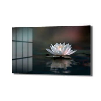 Zarafet ve Huzur: Beyaz Nilüfer Çiçeği Cam Tablo - Glazella