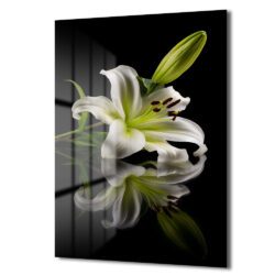 Zarif Beyaz Zambak: Modern Floral Temperli Cam Tablo