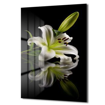 Zarif Beyaz Zambak: Modern Floral Temperli Cam Tablo - Glazella Zarif Beyaz Zambak: Modern Floral Temperli Cam Tablo - Glazella