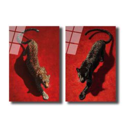 Kırmızı, dokulu bir arka plan üzerinde uzanan benekli leopar ve siyah panterin olduğu iki parçalı cam tablo seti, parlak yüzey yansımalarıyla vahşi yaşam sanatı eseri.