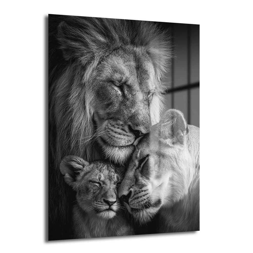 Aslan Ailesi Aşkı Siyah Beyaz Cam Tablo - Evinize Huzur Katın Duvar Dekoru Siyah beyaz bir fotoğrafta, gözleri kapalı, sevgiyle birbirine sokulmuş bir aslan, bir dişi aslan ve yavrusu, aile bağını ve şefkati yansıtan dokunaklı bir anı ölümsüzleştiriyor.