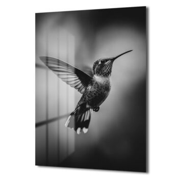 Zarafetin Dansı: Siyah Beyaz Kolibri Uçuşu Cam Tablo - Glazella