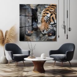 Siyah Panter ve Kaplan Karşılaşması Temperli Cam Tablo Duvar Dekoru Siyah Panter ve Kaplan Karşılaşması Temperli Cam Tablo