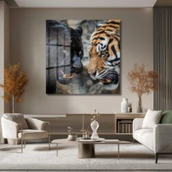 Siyah Panter ve Kaplan Karşılaşması Temperli Cam Tablo Duvar Dekoru Siyah Panter ve Kaplan Karşılaşması Temperli Cam Tablo