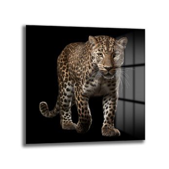 Vahşi Zarafet: Kara Fon Leopar Cam Tablo - Glazella