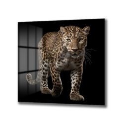 Vahşi Zarafet: Kara Fon Leopar Cam Tablo Duvar Dekoru Vahşi Zarafet: Kara Fon Leopar Cam Tablo