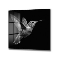 Siyah Beyaz Kolibri Uçuşu Cam Tablo - Glazella Siyah Beyaz Kolibri Uçuşu Cam Tablo - Glazella