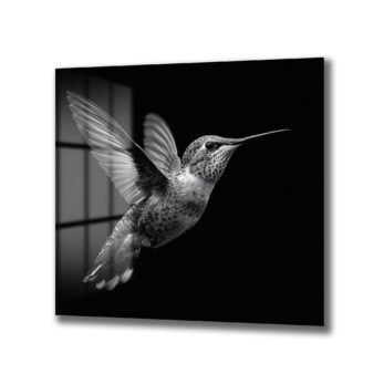 Siyah Beyaz Kolibri Uçuşu Cam Tablo - Glazella