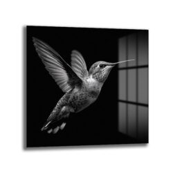 Siyah Beyaz Kolibri Uçuşu Cam Tablo Duvar Dekoru Siyah Beyaz Kolibri Uçuşu Cam Tablo