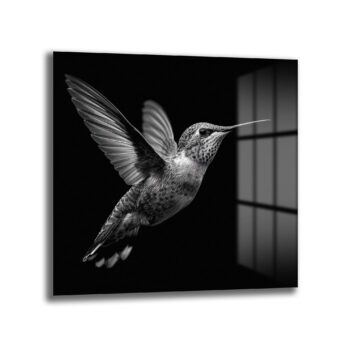Siyah Beyaz Kolibri Uçuşu Cam Tablo - Glazella Siyah Beyaz Kolibri Uçuşu Cam Tablo - Glazella