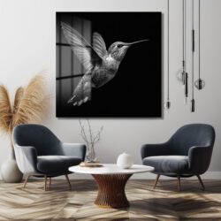 Siyah Beyaz Kolibri Uçuşu Cam Tablo Duvar Dekoru Siyah Beyaz Kolibri Uçuşu Cam Tablo
