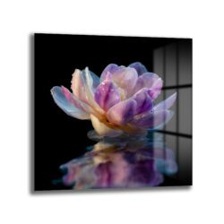 Mor Lotus Çiçeği Su Damlaları Temalı Cam Tablo Duvar Dekoru Mor Lotus Çiçeği Su Damlaları Temalı Cam Tablo