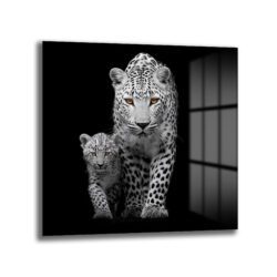 Vahşi Zarafet: Leopar Anne ve Yavru Büyüleyici Gözler Cam Tablo Duvar Dekoru Vahşi Zarafet: Leopar Anne ve Yavru Büyüleyici Gözler Cam Tablo