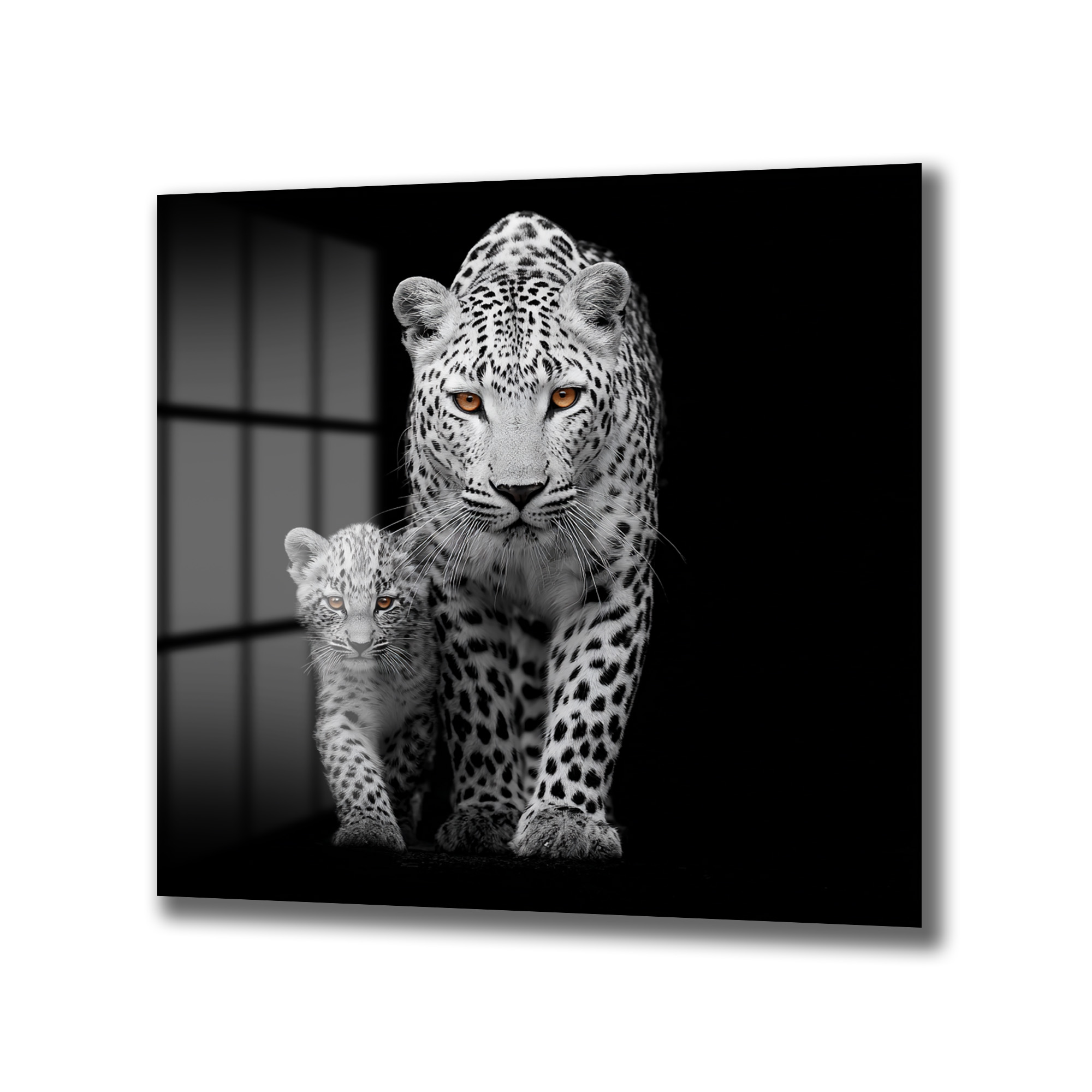 Vahşi Zarafet: Leopar Anne ve Yavru Büyüleyici Gözler Cam Tablo Duvar Dekoru Siyah beyaz renkte, sadece gözleri turuncu olan bir anne leopar ve yavrusunun koyu bir arka plan ve pencere önünde ilerlerken çekilmiş, dramatik ve etkileyici bir fotoğrafı.