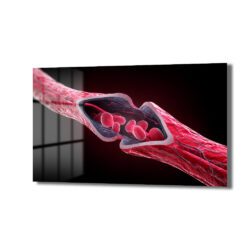 Dinamik Damar Akışı Cam Tablo Duvar Dekoru Dinamik Damar Akışı Cam Tablo