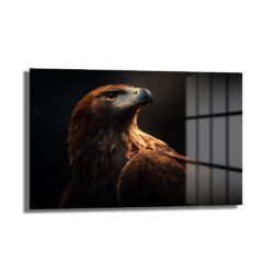 Asil Kartal Portresi Cam Tablo - Güç ve İhtişam Duvar Dekoru Asil Kartal Portresi Cam Tablo - Güç ve İhtişam