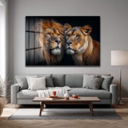 Aslan ve Dişi Aslanın Asil Bakışları Cam Tablo Duvar Dekoru Aslan ve Dişi Aslanın Asil Bakışları Cam Tablo