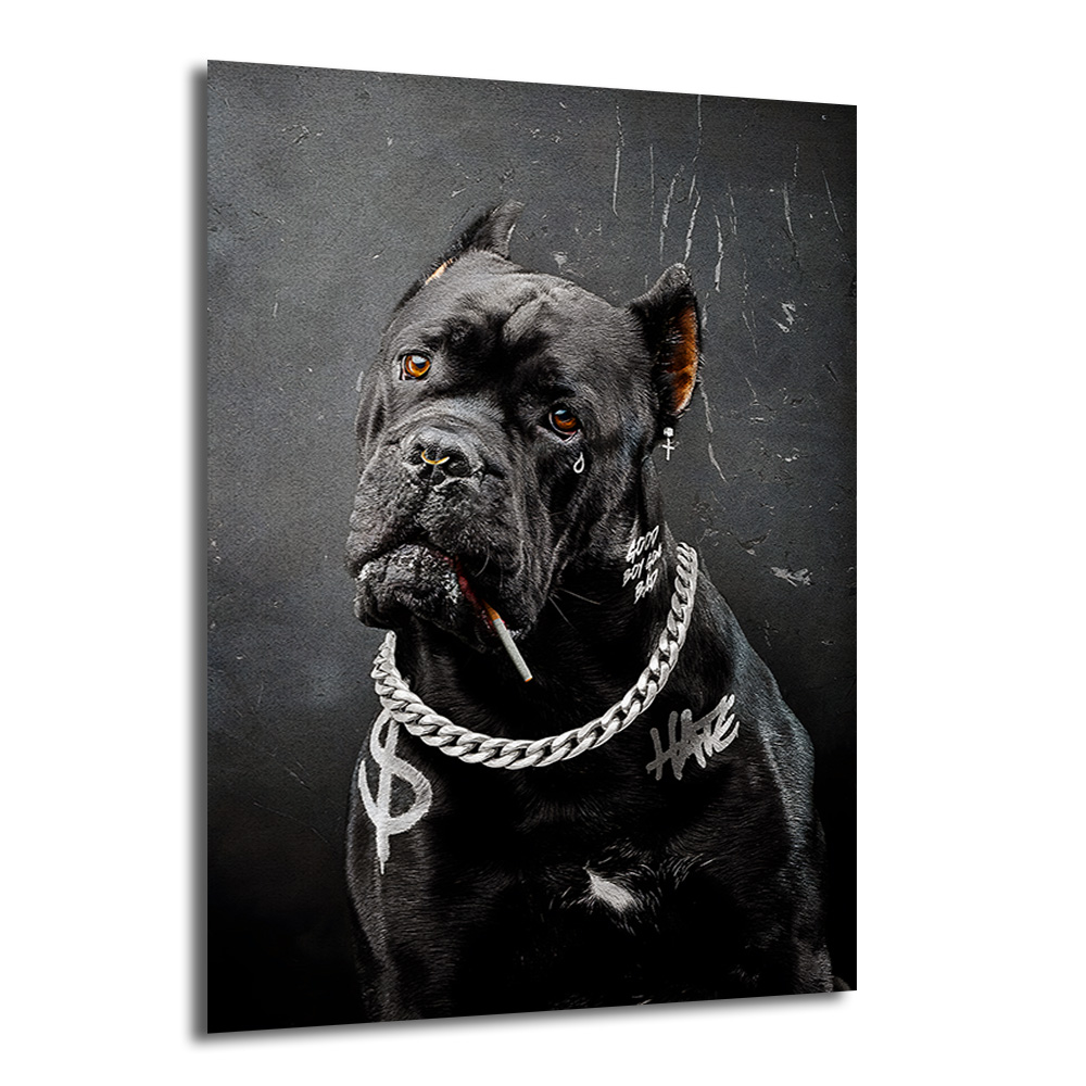 Asi Ruhlu Cane Corso Cam Tablo: Urban Sanatın Yeni İkonu Duvar Dekoru Koyu gri arka planda, üzerinde gümüş zincir kolye, sigara ve dövme detayları olan asi görünümlü siyah Cane Corso köpeğin sanatsal portresi.