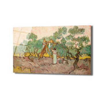 Van Gogh Zeytin Ağaçları Cam Tablo - Sanatsal Hasat - Glazella