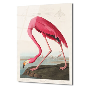 Amerikan Flamingosu Cam Tablo - Pembe Zarafet - Glazella