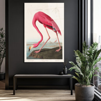 Amerikan Flamingosu Cam Tablo - Pembe Zarafet - Glazella