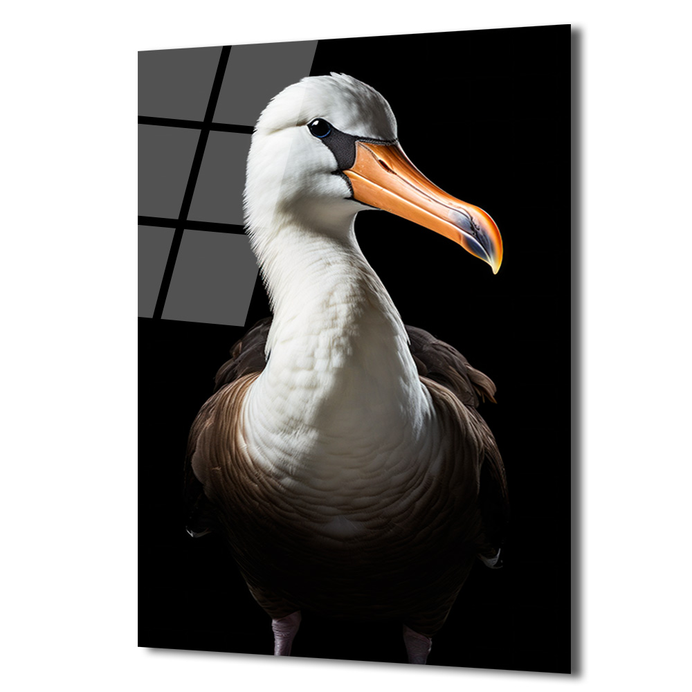 Albatros Kuşu Portresi Cam Tablo - Denizlerin Asil Zarafeti - Glazella Albatros Kuşu Portresi Cam Tablo - Denizlerin Asil Zarafeti - Glazella