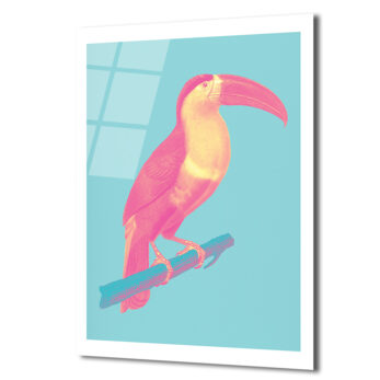 Pop Art Neon Pembe Toucan Cam Tablo - Tropikal Enerji - Glazella