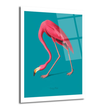 Zarif Pembe Flamingo Cam Tablo: Modern Evlere Tropikal Dokunuş - Glazella