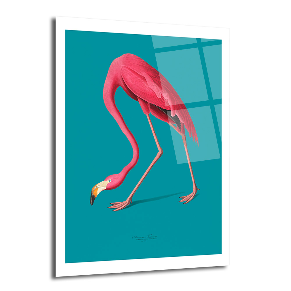Zarif Pembe Flamingo Cam Tablo: Modern Evlere Tropikal Dokunuş - Glazella Zarif Pembe Flamingo Cam Tablo: Modern Evlere Tropikal Dokunuş - Glazella