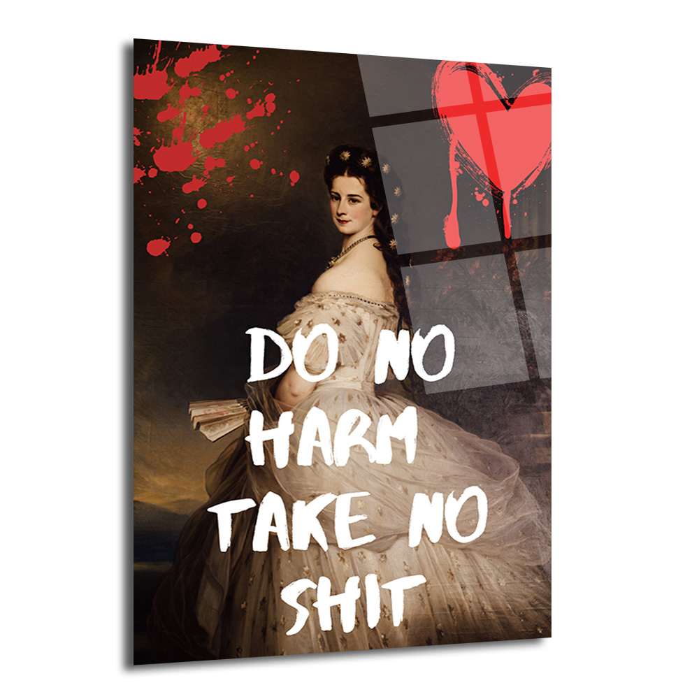 Sisi'den Asi Mesaj: Do No Harm Take No Shit Temperli Cam Tablo - Glazella Sisi'den Asi Mesaj: Do No Harm Take No Shit Temperli Cam Tablo - Glazella
