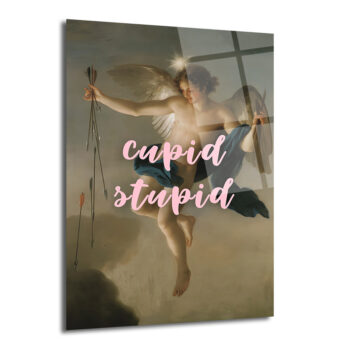 Cupid Stupid Aşk ve Mizah Temalı Cam Tablo - Glazella